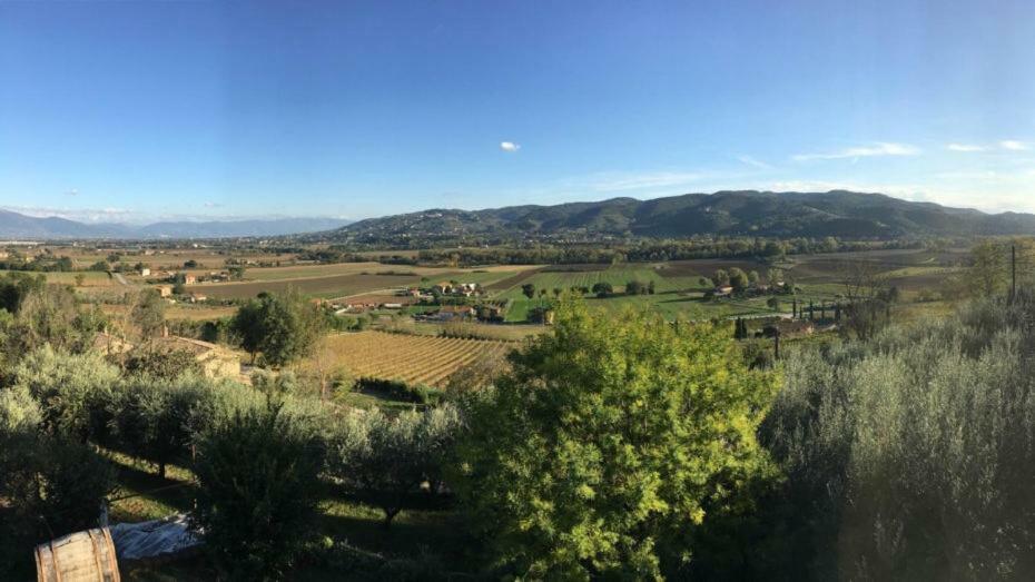 Agriturismo Wine Casale Villa Chiara Torgiano Zewnętrze zdjęcie